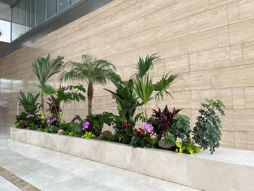 奉化植物租摆价格大公开，性价比高低一目了然