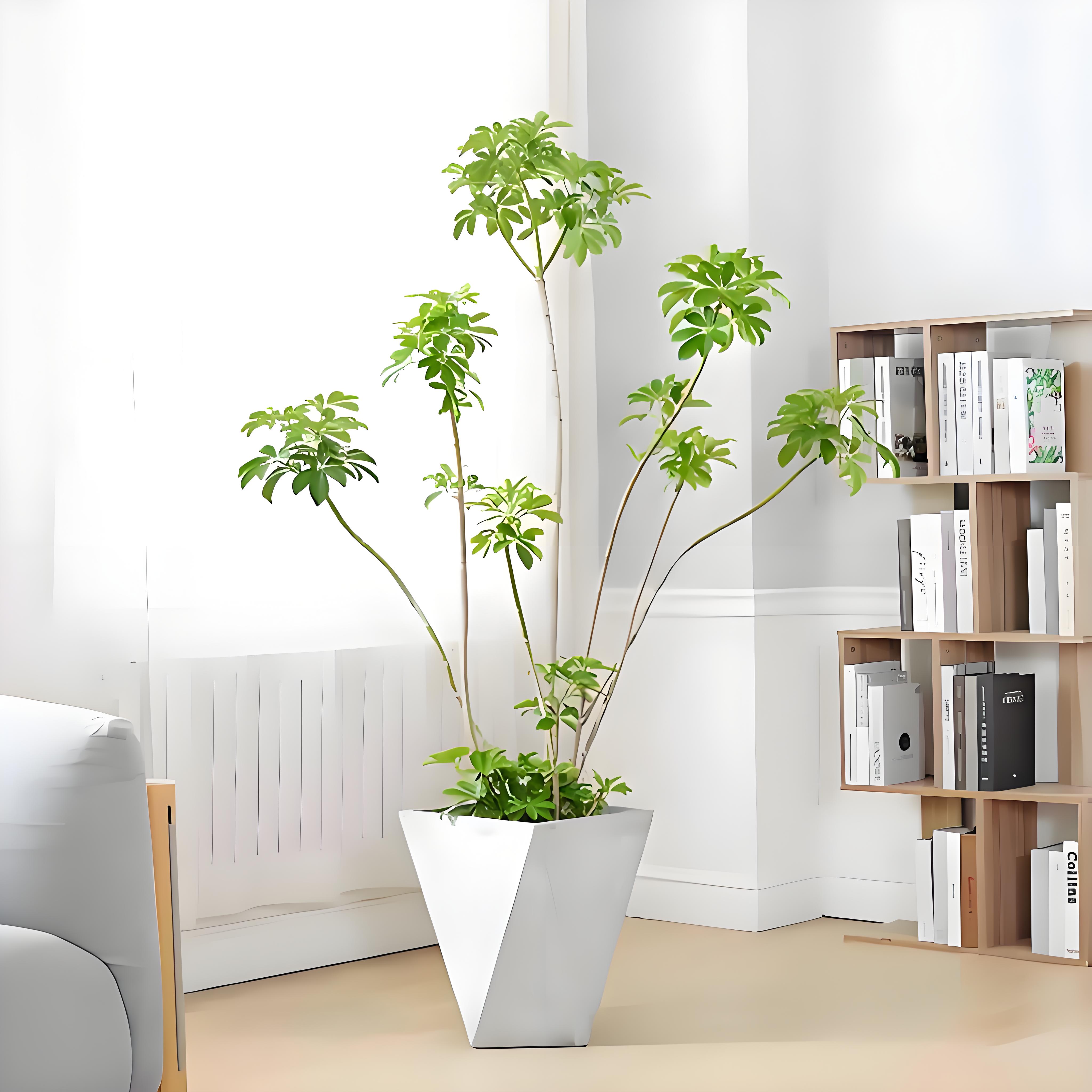 宁波前湾花卉租赁价格,你了解多少?><div class=